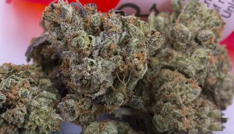 Buy Purple Crack Strain online