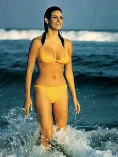 Raquel Welch Beautiful - picture #29788