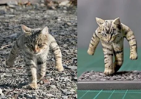 A walking cat photo (left), which has become the Internet me