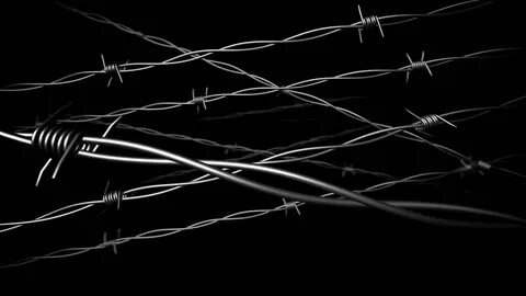 flying through barbed wire black background Stock Footage Vi