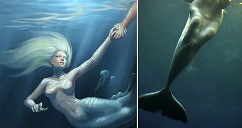 Legend about beluga whales and mermaids. ( Fake or True?) - 