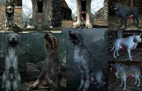 Horny Dogs of Skyrim (Husky, Dog, Wolf, Deathhound) No Longe