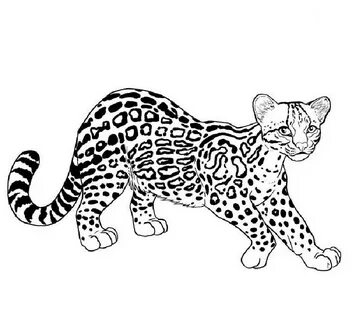 Big Cat Rescue Coloring Pages - Coloring Ideas