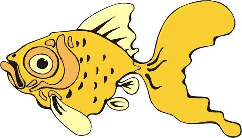 Funny Fishes Pictures - ClipArt Best