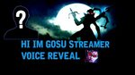 Hi im Gosu ( Gosu) Voice Reveal - Twitch streamer -Explains 