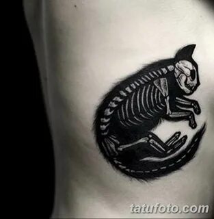 фото тату скелет кота 25.03.2019 № 002 - cat skeleton tattoo