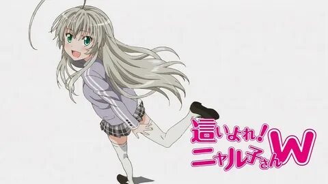 Haiyore nyaruko san 12