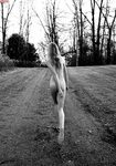 Дри Хемингуэй nude pics, Страница -1 ANCENSORED