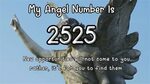 Angel Number 500 Milesia
