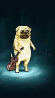 Pug violin Adventure time cartoon, Adventure time, Adventure