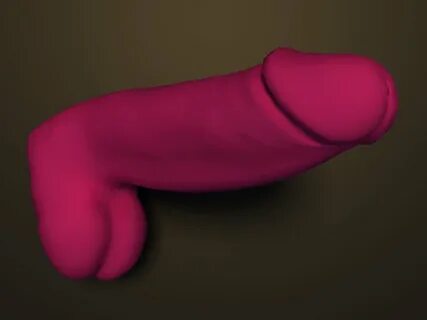 penis 3D Models in Anatomy 3DExport