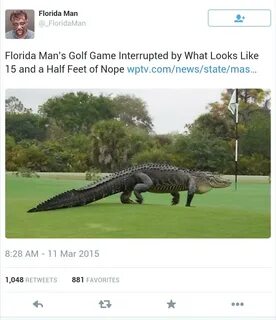 God damn it Florida Gator - Meme by Aragon450 :) Memedroid