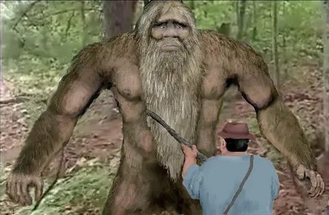 Fisherman has a close encounter in Arkansas - Sasquatch Chro