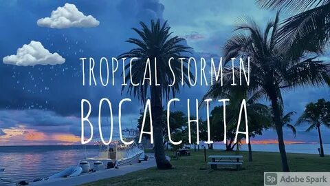 TROPICAL STORM IN BOCA CHITA 🙉 - YouTube