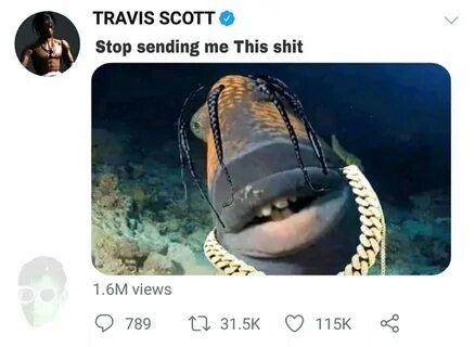 Twitter-এ Nelisa Machi ❤ 🍁: "#TravisScott ❤ ️❤ https://t.co/t