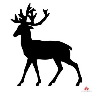 white tailed deer clip art - Clip Art Library