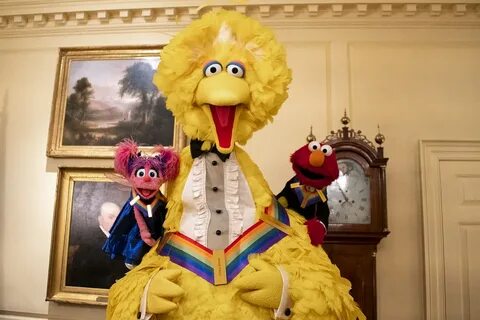 Big Bird - Wikipedia