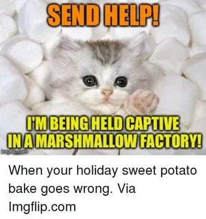 SEND HELP IMBEING HELD CAPTIVE INAMARSHMALLOWI FACTORY! Mgi 