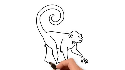 how to draw monkey - YouTube