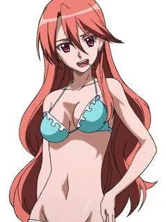 Safebooru - 1girl akame ga kill! bikini breasts brown hair c