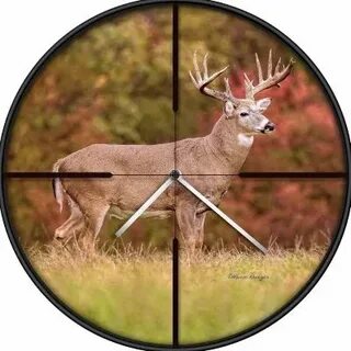 AIM Hunting ™ on Twitter: "Deer Hunter Kills Two Booners in 