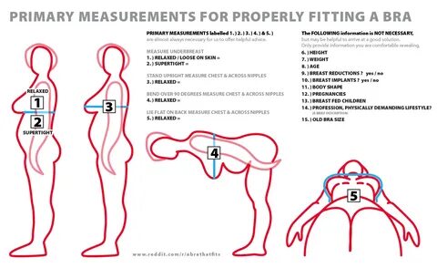 How To Measure Bra Sizes Correctly.