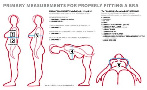 MEASUREMENTS FOR PROPERLY FITTING A BRA Tallas De Brasier, Tallas De Sujeta...