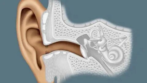 A hallás természetes módszerekkel is javítható! - Egy az Egy