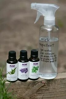 Pin by Louise Knight on insect repellant Natural tick repell