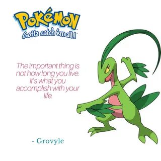 Grovyle Archives QuoteReel
