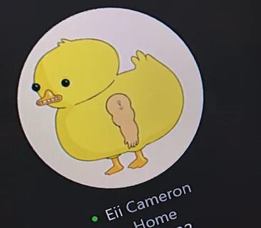 1080X1080 Funny Pictures For Xbox Gamerpic : Xbox Custom Gam