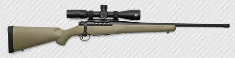 The Mossberg Patriot Predator is a Poor-Man's Sheep Rifle Ou