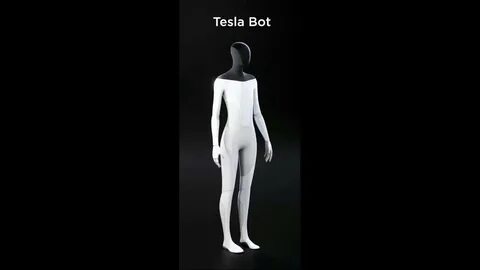 The Tesla Bot: Explained and what it holds for the future - 