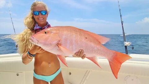 BIG Mutton & Grouper Wreck Fishing the Florida Keys, Day 3 V