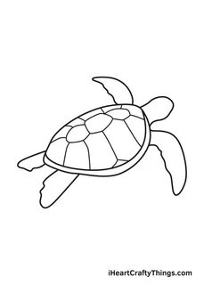 Outline Drawing Of Sea Turtle - Image Sharing Site
