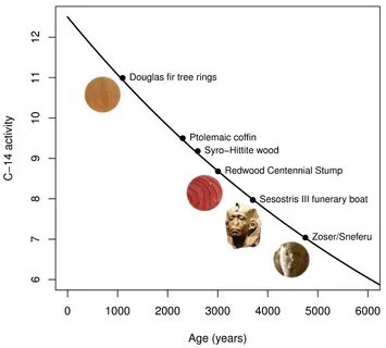 Carbon Dating Science In... 