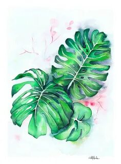 "Monstera lieves" by IsabelSalvador Redbubble