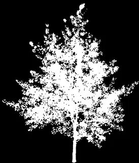 Imvu Opacity Maps For Trees 16 Images - Trees Collection 2 J