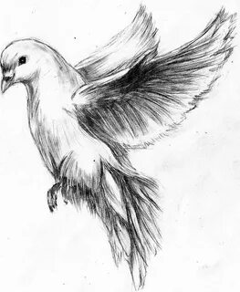 flying dove pencil drawing - Google Search Рисунки, Рисунки 