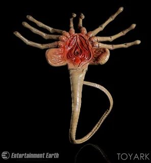 NECA Life Size Alien Facehugger Foam Replica -Toyark Photo S