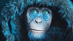 War for the Planet of the Apes Trivia With Fans: Exclusive I