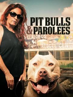 Meet the cast and learn more about the stars of of Pit Bulls