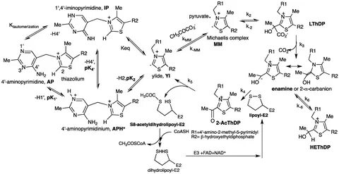 Molecules Free Full-Text Nuclear Magnetic Resonance Approach