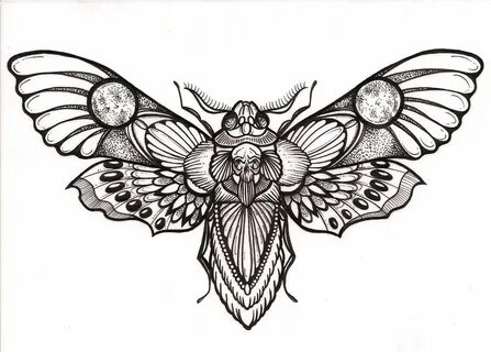 Death Head Moth Drawing at PaintingValley.com Explore collec