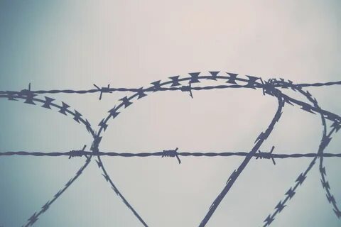 30+ Free Barbed Wire Images & Pictures - Pikwizard