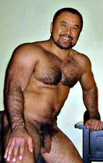 d. Muscle Bear. 