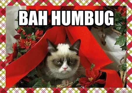 bah humbug - merry christmas - quickmeme