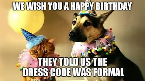 The Quest for the Most Hilarious Happy Birthday Meme HAPPY B