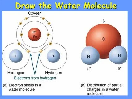 The Extraordinary Properties of Water PICK UP A NOTE SHEET F