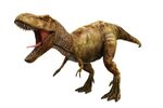 Передние лапы тираннозавров могли разрубать противника - Nak
